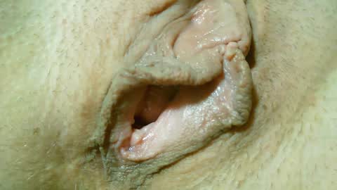 Lost in Lust online show from January 31, 12:50 am