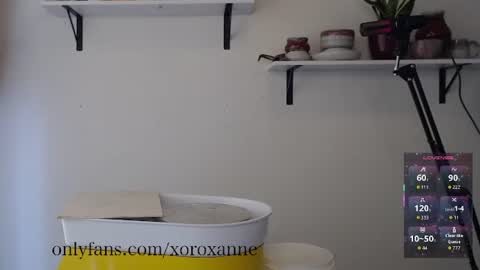 xoroxanne online show from February 11, 8:36 pm