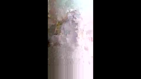 xxjessiebugxx online show from May 14, 2:29 am