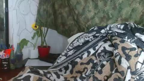 Snapshot of xxx_morena chatting on January 4, 12:05 am   LILI  online show from January 4, 12:05 am