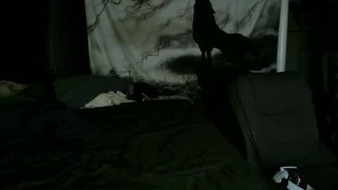 Snapshot of xxxjrstrokesxxx chatting on January 25, 2:15 am xxxjrstrokesxxx online show from January 25, 2:15 am
