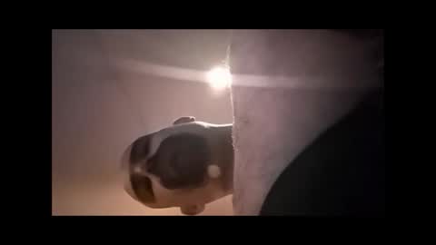 Xzbib online show from April 4, 4:48 pm