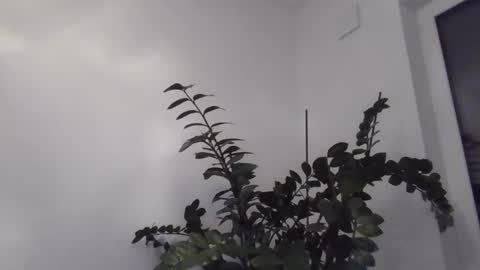 yakijoe online show from October 22, 10:09 pm