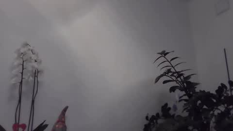 yakijoe online show from March 22, 10:57 pm