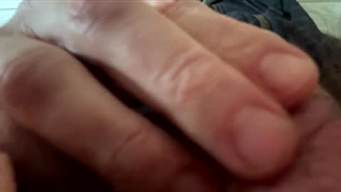 yappe75 online show from April 21, 11:16 am