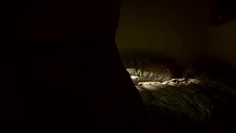 Snapshot of yaradeeyarama chatting on February 8, 3:48 pm yaradeeyarama online show from February 8, 3:48 pm