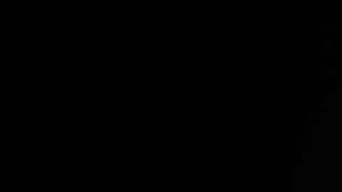 Yasmina online show from December 3, 2:25 am