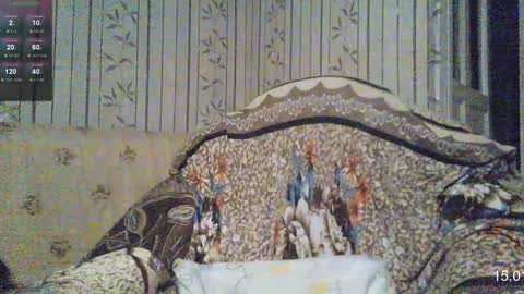 Sven online show from January 15, 7:48 am