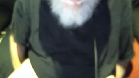 .     y e l l o w s n a k e s       . online show from September 30, 7:57 am