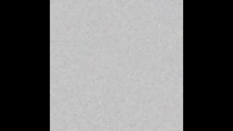 .     y e l l o w s n a k e s       . online show from November 4, 7:29 am