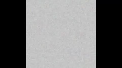 .     y e l l o w s n a k e s       . online show from November 21, 12:37 pm