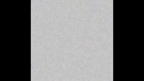 .     y e l l o w s n a k e s       . online show from November 24, 10:26 am