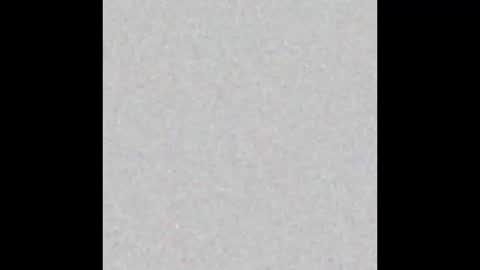 .     y e l l o w s n a k e s       . online show from December 4, 4:05 pm