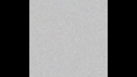 .     y e l l o w s n a k e s       . online show from February 5, 4:22 pm