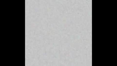 .     y e l l o w s n a k e s       . online show from March 4, 11:38 am