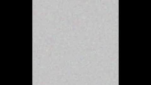 .     y e l l o w s n a k e s       . online show from March 6, 3:25 am