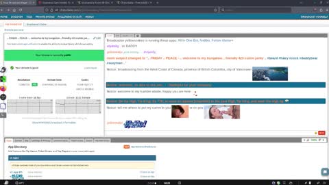 .     y e l l o w s n a k e s       . online show from March 20, 10:25 pm