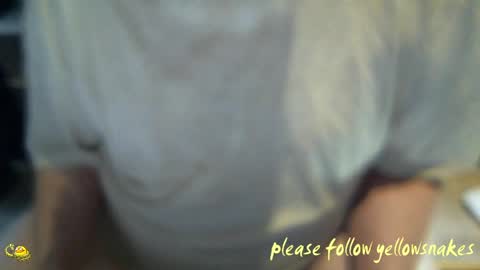 .     y e l l o w s n a k e s       . online show from April 1, 2:25 pm