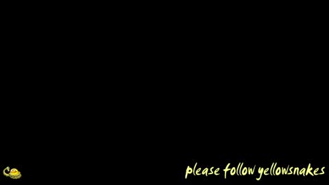 .     y e l l o w s n a k e s       . online show from April 13, 11:48 am