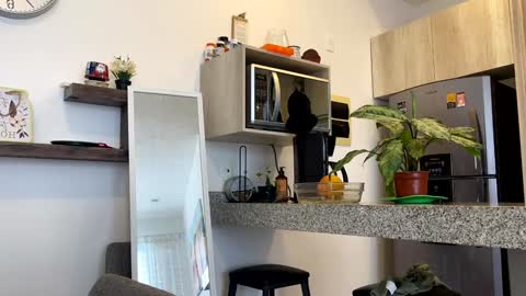 Zlata online show from February 2, 10:28 pm