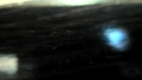 yoonhee_ki online show from April 5, 2:47 pm