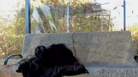 private on 18 per minute start private 500 tokensOnlyfans  online show from October 29, 9:11 am