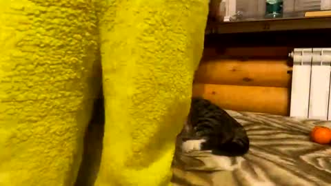 Fansly  online show from December 31, 9:50 pm