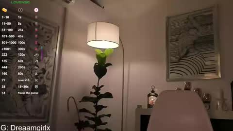 Snapshot of your_dreaamgirlx chatting on December 20, 3:46 am Isabella online show from December 20, 3:46 am