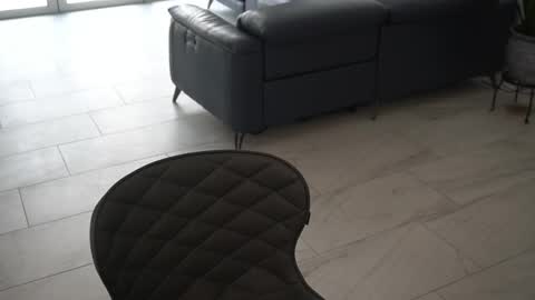 Siebel. online show from March 4, 7:11 pm