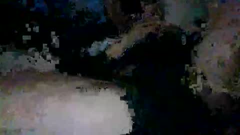 Snapshot of yungnympho25 chatting on May 29, 12:58 pm yungnympho25 online show from May 29, 12:58 pm