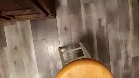 yupthatshim online show from December 21, 6:31 am