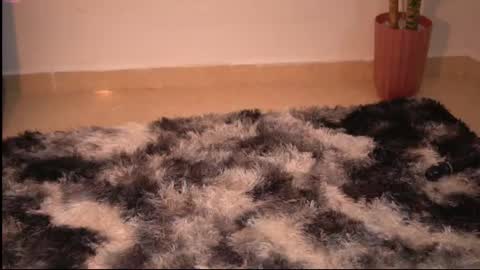 Yuyi Cam online show from December 5, 3:15 am