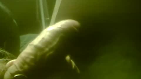 Snapshot of zaboski4 chatting on December 1, 8:52 am zaboski4 online show from December 1, 8:52 am