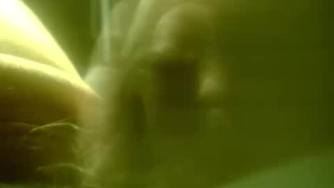 Snapshot of zaboski4 chatting on February 25, 7:40 am zaboski4 online show from February 25, 7:40 am