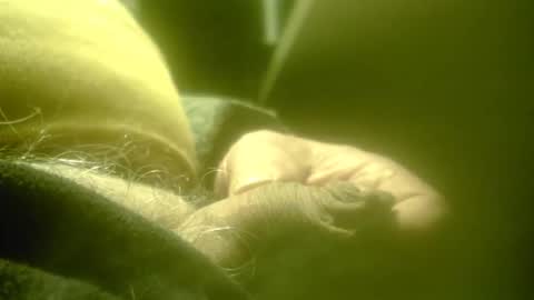 Snapshot of zaboski4 chatting on February 26, 8:24 am zaboski4 online show from February 26, 8:24 am