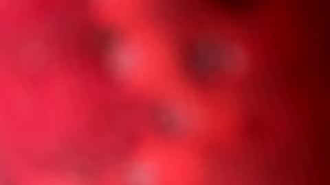 zachslime472 online show from March 13, 2:45 pm