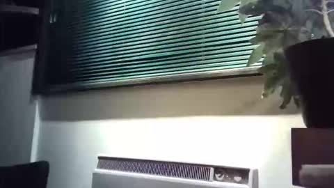 zalina2 online show from March 8, 6:06 am