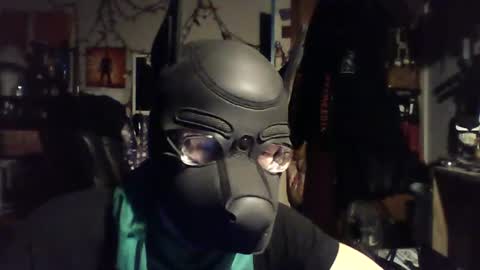 Snapshot of zanepup89 chatting on June 29, 7:47 am ZanePup online show from June 29, 7:47 am