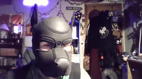 Snapshot of zanepup89 chatting on July 6, 5:26 am ZanePup online show from July 6, 5:26 am