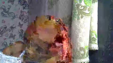Snapshot of zarinamarlin chatting on March 18, 9:12 am zarinamarlin online show from March 18, 9:12 am