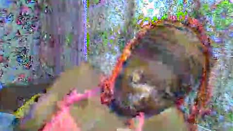 Snapshot of zarinamarlin chatting on April 3, 6:00 am zarinamarlin online show from April 3, 6:00 am