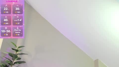 Zary online show from November 28, 11:24 am