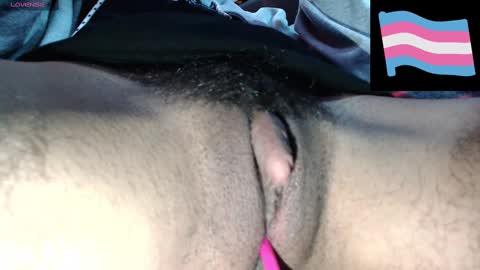 Snapshot of zeldrissss chatting on December 3, 4:17 pm Zeldris online show from December 3, 4:17 pm