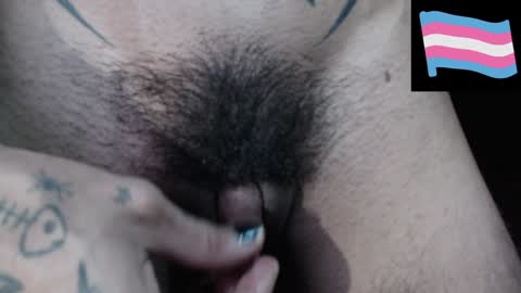 Snapshot of zeldrissss chatting on December 14, 11:12 pm Zeldris online show from December 14, 11:12 pm