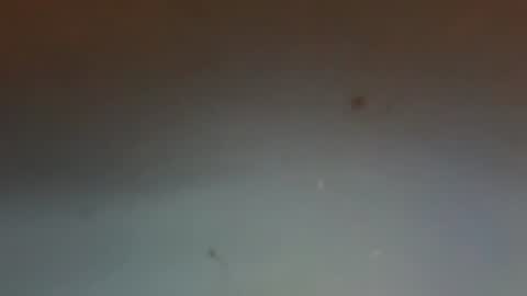 zervale online show from August 8, 10:12 pm