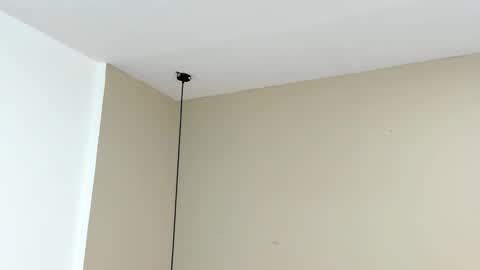 zia online show from September 15, 11:10 am