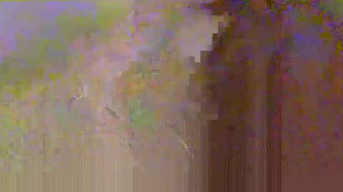 Snapshot of zobrythickock chatting on October 29, 5:25 pm zobrythickock online show from October 29, 5:25 pm