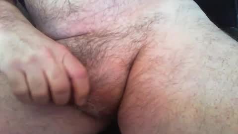 zokalo online show from February 2, 9:30 am