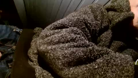 zolexthomas online show from February 1, 7:55 pm