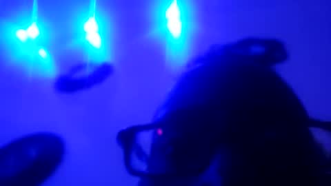 zooted12 online show from May 11, 10:32 am
